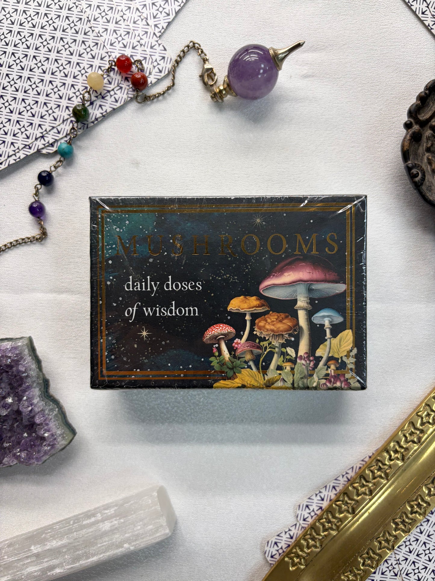 Mushrooms Daily Doses of Wisdom