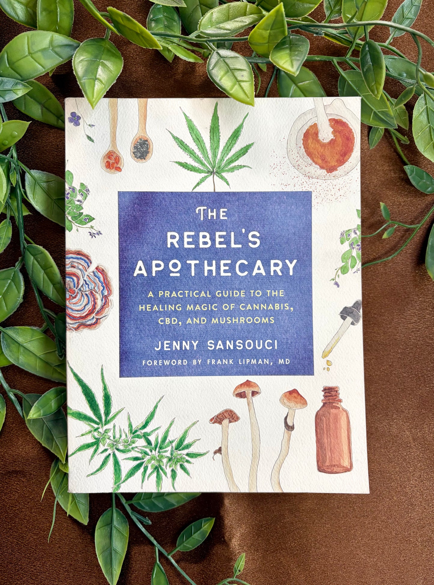 La botica del rebelde: Guía práctica para la magia curativa del cannabis, el CBD y los hongos