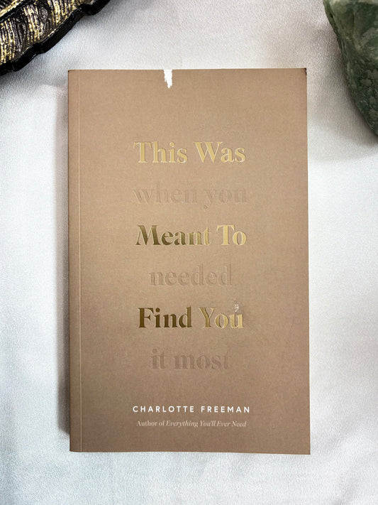 This Was Meant to Find you: When You Needed It Most