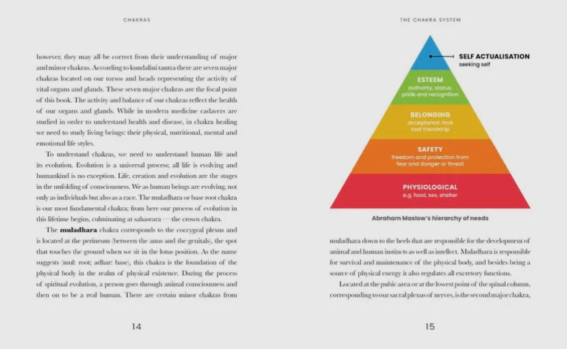 Chakras: Un viaje a través de los centros energéticos de tu cuerpo