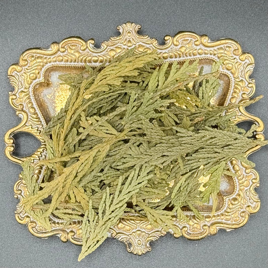 Cedar Tips Western Red