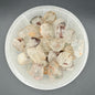 Phantom Quartz Tumbled Stone