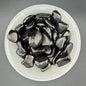 Shungite Tumbled Stone