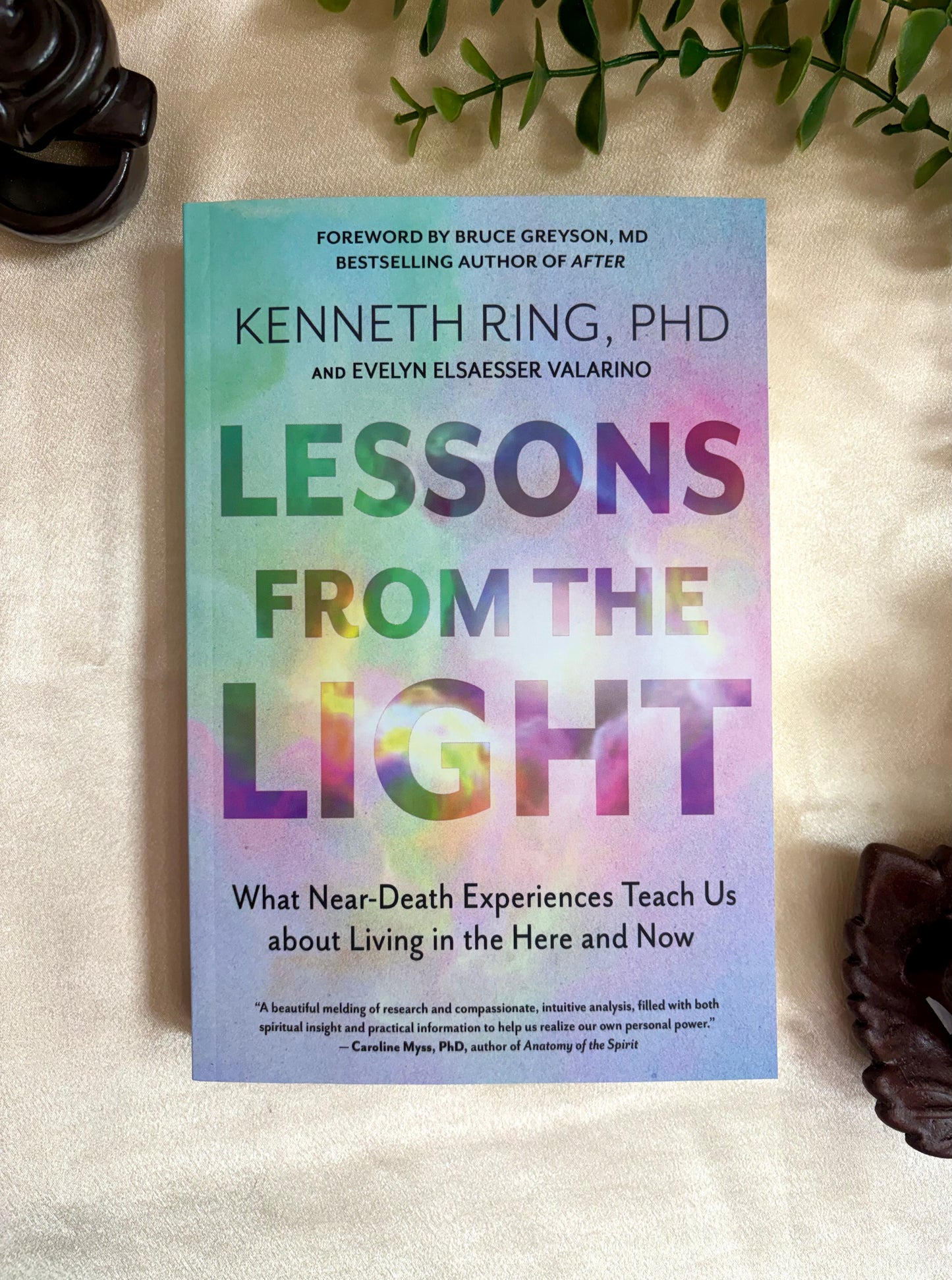 Lessons from the Light: What Near Death Experiences Teach Us about Living in the Here and Now