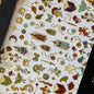 Ectogasm Witchy & Nature Nail Art Stickers