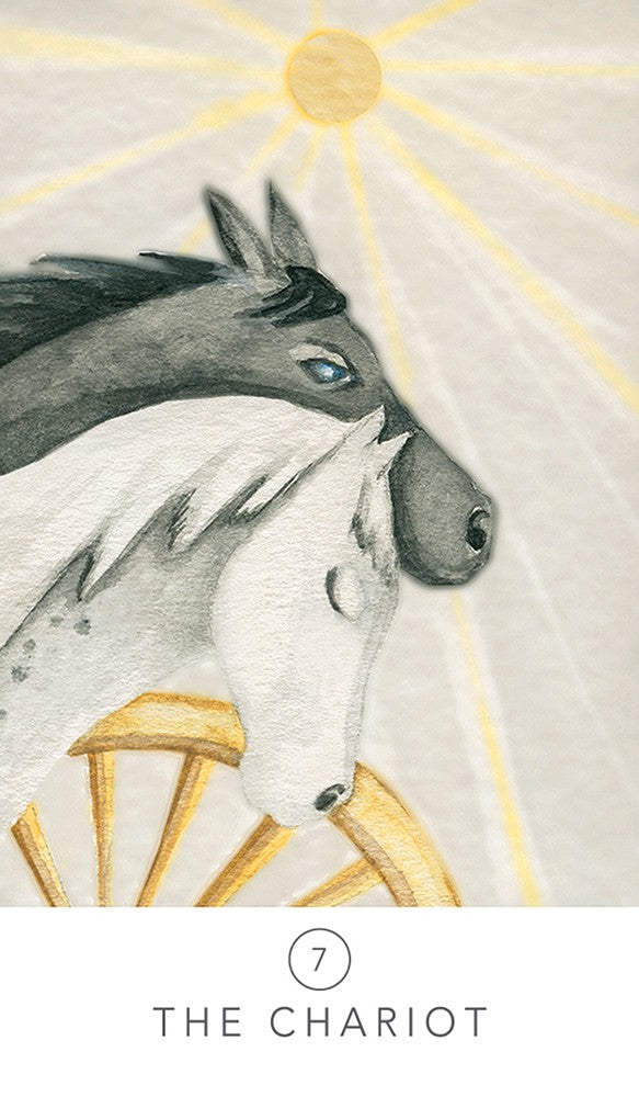 Tarot Salvia Blanca