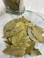 Bay Leaf- Organic // Laurel- Orgánico